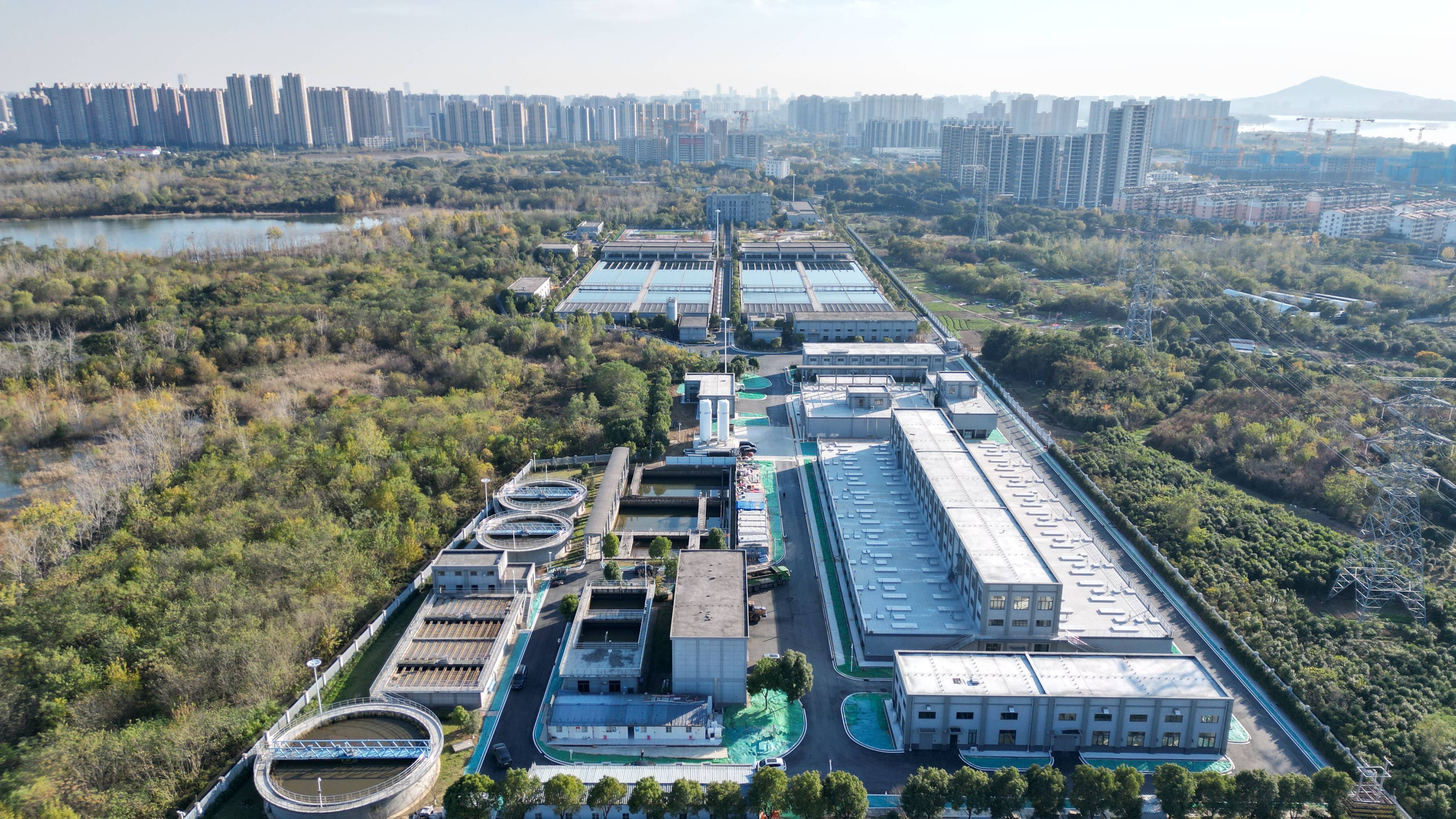 重庆市合肥专业企业价值增长(合肥市重点企业产业目录)