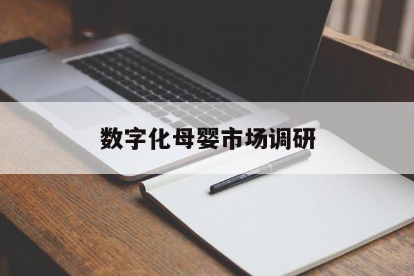 重庆市数字化母婴市场调研(数字化母婴市场调研报告)
